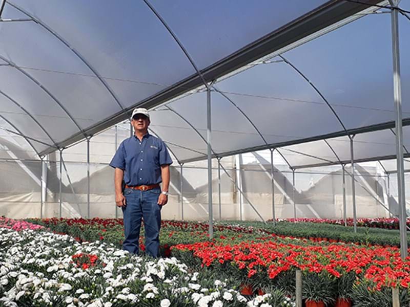 Floricultura BV