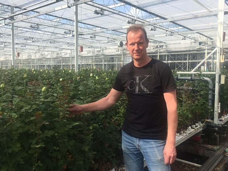 Rozenkwekerij Ernst Olieman