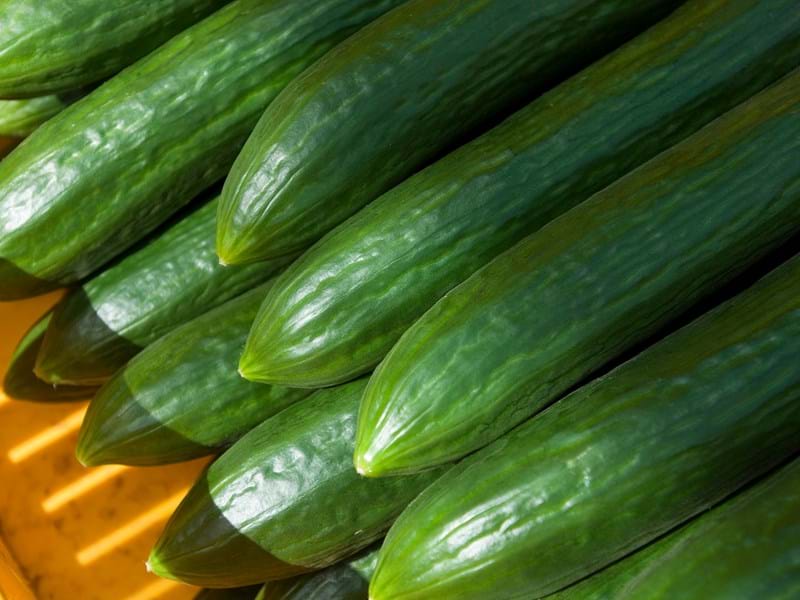 agro-firm Oldeevskaya screens